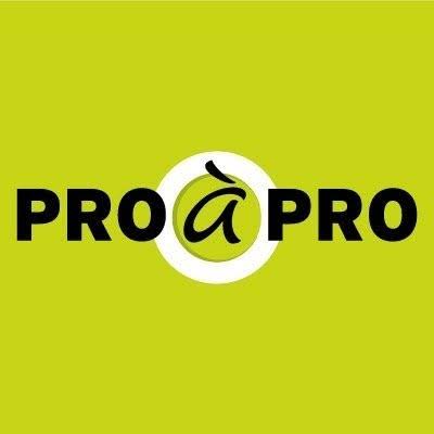 logo de l'entreprise de logistique Pro à Pro
